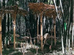 -望江楼公园