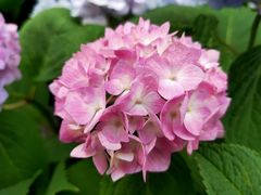 -新天地活力PARK