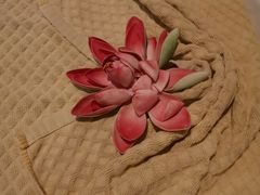 -富侨养生(康乾店)