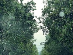 -江东鲈鱼馆(正江东)