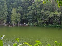 -深圳仙湖植物园