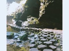 -牛背梁国家森林公园