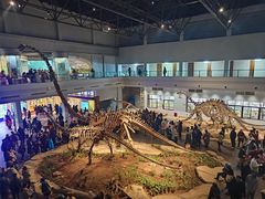 -自贡恐龙博物馆