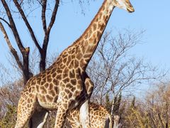 -济南野生动物世界