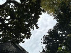 -豫园