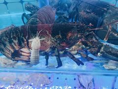 -日照大牌檔•小船海鲜(万平口店)