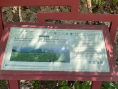 -白草畔自然风景区