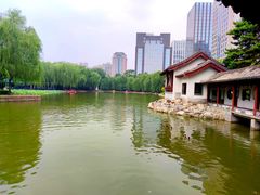 -团结湖公园