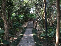 -福建鲤鱼洲酒店