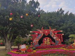 -金鸡山公园