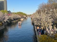 -元大都城垣遗址公园