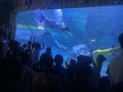 -左海海底世界