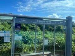 -城山辣炒黑猪肉