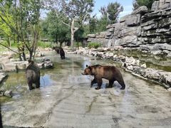 -北京野生动物园