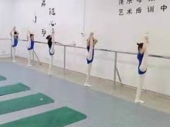 -快乐琴弦音乐舞蹈艺术教育中心(马连道校区)