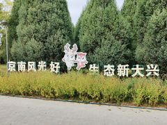 -大兴滨河森林公园