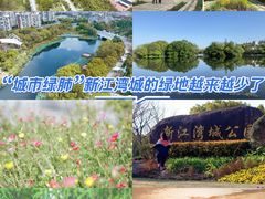 -新江湾城公园