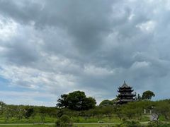 -上海海湾国家森林公园