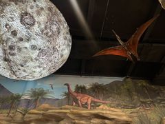 -辽宁古生物博物馆