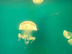 -福州罗源湾海洋世界旅游区