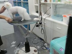 -萌兽医馆·宠物医院·猫骨科(创景店)