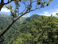 -牛背梁国家森林公园