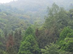 -青城山