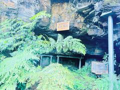 -热带雨林自然公园