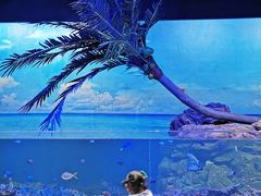 -江和美海洋公园