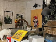 -平行世界·猫咖(首经贸店)