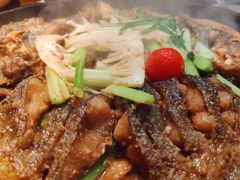 -老板恋上鱼(高新万达店)