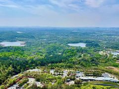 -牛首山文化旅游区