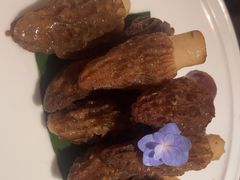 -蘑界·野生菌火锅(深业上城店)