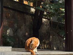 -狼山风景名胜区