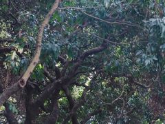 -荔香公园