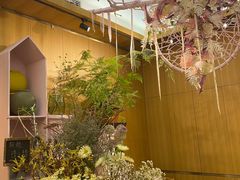 -蝶舍·MAISON PAPILLON