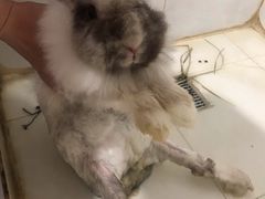 -雨林宠物医院 非犬猫异宠专科
