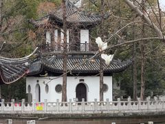 -汇龙潭
