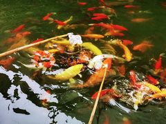 -中铁花水湾温泉酒店(大邑店)