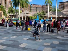 -亚马逊丛林水乐园