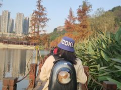 -重庆彩云湖湿地公园