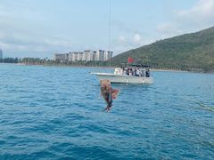 -小猫钓鱼海钓俱乐部(椰梦长廊店)