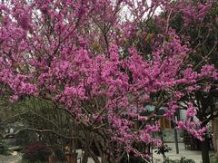 -凤来栖·净庭院·火锅(欧尚店)