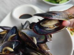 -众味海鲜大排档·活海鲜·潮汕味(南澳店)
