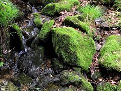 -本溪汤沟绿石谷森林公园