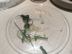 -杨记拉面总店
