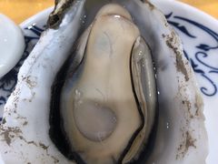 -蚝专家(北滘店)