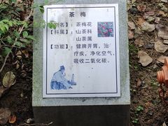 -李时珍纪念馆