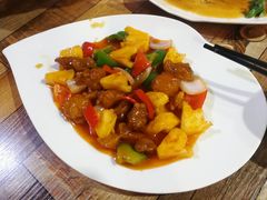 -东鸽皇(奥园·中环广场店)