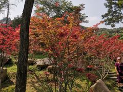 -广州市帽峰山景区